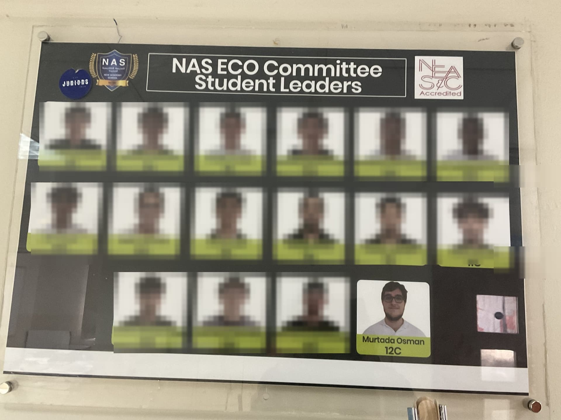 The eco committee board, Grade 12